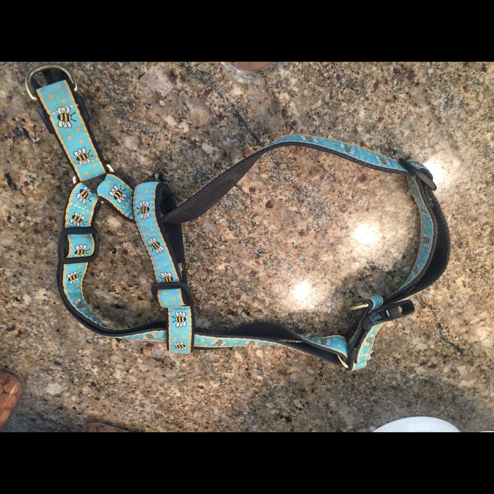 Up Country Bee Dog harness 🐝